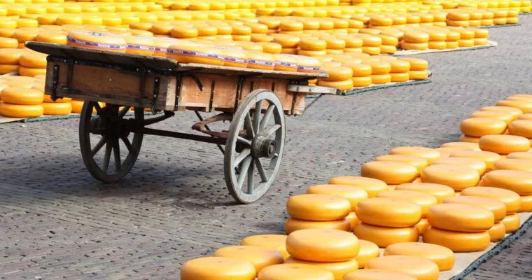 Descubre la historia y el sabor de Edam, el famoso queso de Holanda.