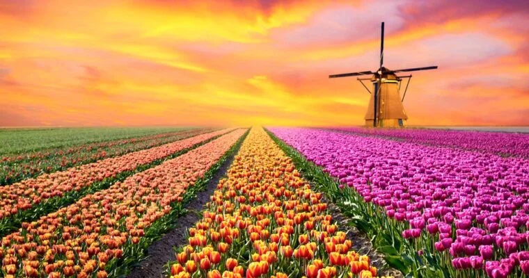 Holanda Meridional: descubre los secretos mejor guardados del país de los tulipanes