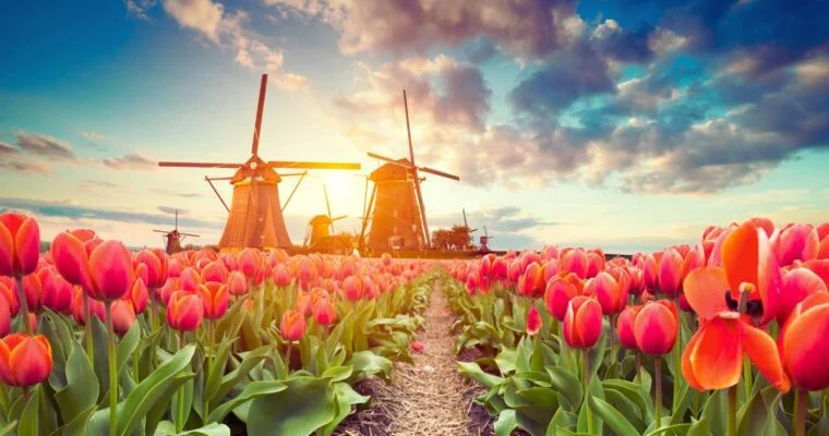 La guía definitiva para descubrir lo mejor de los Países Bajos en Holanda