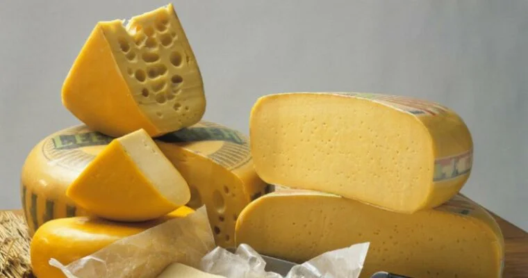Descubre el paraíso del queso en Holanda: degusta sus variedades más exquisitas