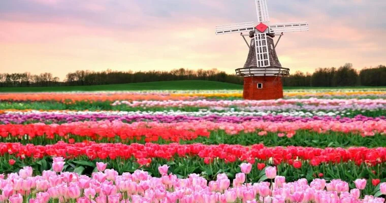 Visita Keukenhof, el paraíso floral de Holanda